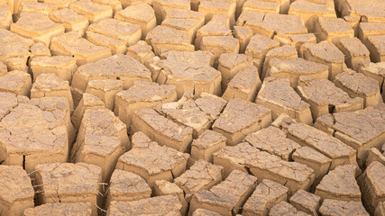 Cracked soil ground of the arid climate environmental.