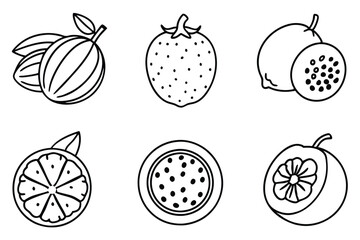 passionfruit line art outline of exotic fruit