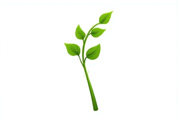 plant with green leaves on a white background2