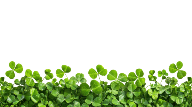 Green clover leaf border isolate on transparent background