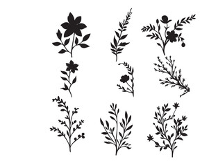Set of Black and White Floral and Botanical Silhouettes