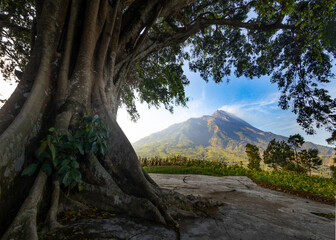 The beautiful view of Mount Merapi on the north side can be enjoyed comfortably from Bukit Cilenguk...