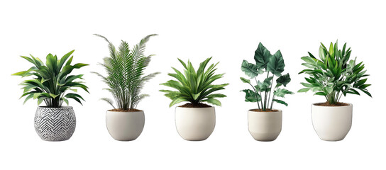 five decorative potted plants arranged in a row showcasing various green foliage styles and textures ideal for enhancing indoor aesthetics and promoting a calming environment