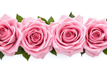 Fototapeta premium bunch of pink roses on a white background