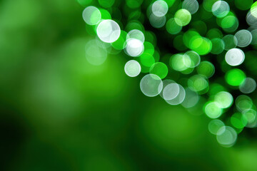 Obraz premium Defocused lights green background