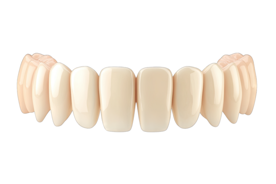 set of dental prosthetics showcasing a row of artificial teeth designed for aesthetic or functional purposes in dentistry