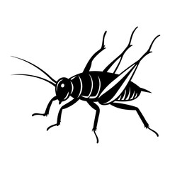 Vector silhouette of a cricket insect, design is clean and minimalist isolated on transparent background