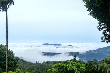 Top view of mountain or hill valley with mist and low clouds in the morning