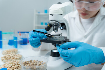 Scientist check chemical whole grains residues in laboratory. Control experts inspect the...