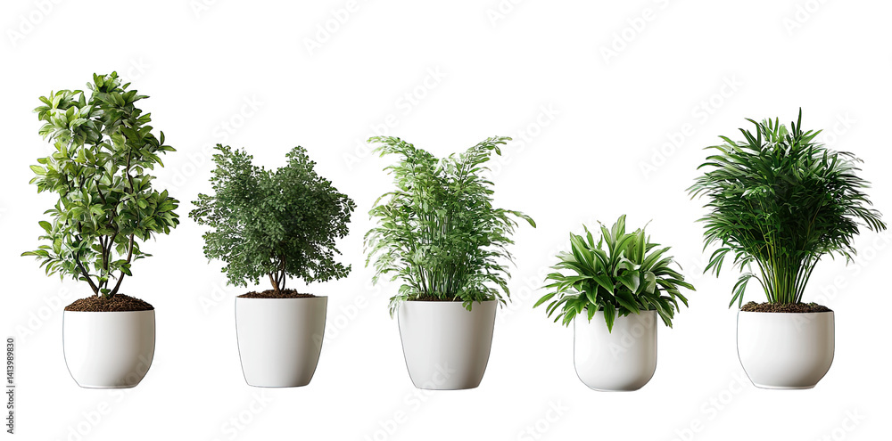 Poster five potted plants of varying sizes and types each in a simple white pot arranged in a row against a