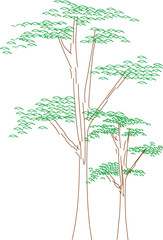The best Rain Tree for environmental conservation
