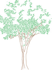 Rain trees can absorb 28,000 kg of CO₂ per year