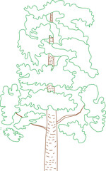 Rain trees are known as very efficient carbon absorbers