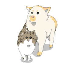 猫と犬