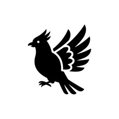 Fototapeta premium Bird with feathers raised symbolizing aggression or a mating display