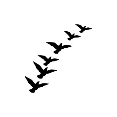 Flock of Birds Flying Together in V Formation Representing Migration and Unity