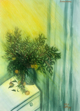 Aromatic Vase, Diospyros decandra Lour