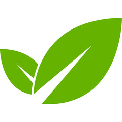 Leaf Flat Vector