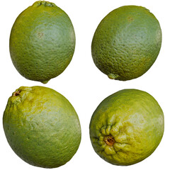 Four Different Angles of a 3D Lime Fruit on Alpha Background