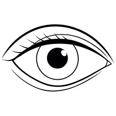 Elegant Eye Illustration with Subtle Reflections