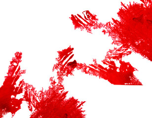 Fresh Human red blood on white background