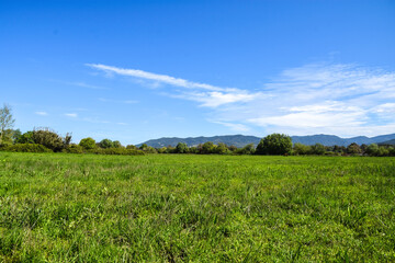 African countryside, Spring day landscape of fields, meadows and hills with mountains in the background and blue sky with clouds, Algerian and a lake in the Algerian countryside, rural Jijel Algeria.