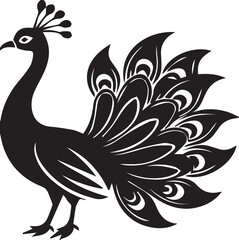 Obraz premium black and white peacock