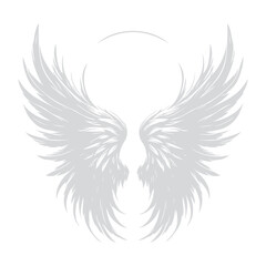 A angel wings vector on a white backgroud