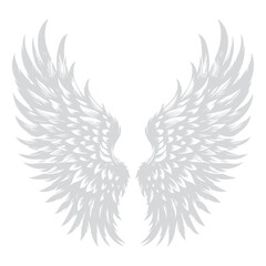 Obraz premium A angel wings vector on a white backgroud