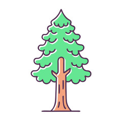 A Tall Evergreen Tree with Lush Green Foliage and a Sturdy Brown Trunk