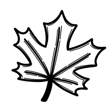 Canada meple leaf doodle 
