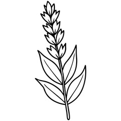 Fototapeta premium hand drawing flower outline