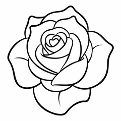 hand drawn rose flower outline illustration 