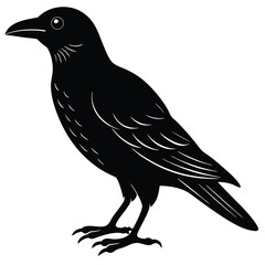 crow isolated on white, crow vector illustration, pet vector art, crow silhouette, animal vector icon, crow line art, eps