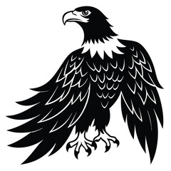 Eagle Bird silhouette vector art illustration