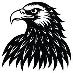 Eagle Bird silhouette vector art illustration