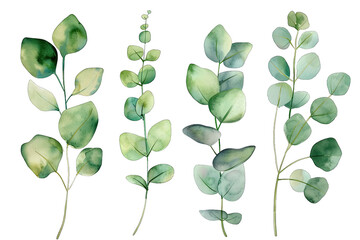 Obraz premium collection of watercolor illustrations of various green leaves showcasing different shapes and sizes ideal for botanical design or decoration