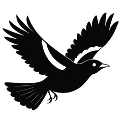 Mayna bird silhouette vector style with white background.