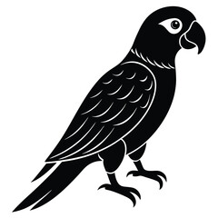 Parrot bird silhouette vector design