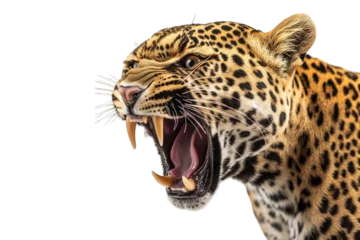 Poster roaring leopard showcasing its fierce expression and sharp teeth emphasizing the beauty and power of wild animal