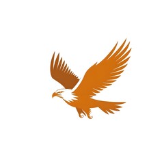 Fototapeta premium eagle head vector illustration