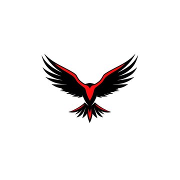 eagle head vector illustration