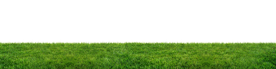 Fototapeta premium 3D Render Green grass texture on white wire screen