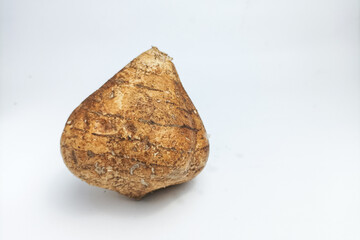 whole unpeeled jicama fruit. isolated on white background