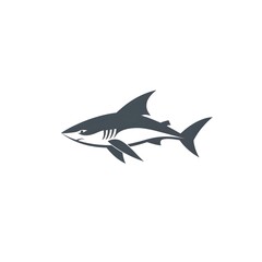 Fototapeta premium shark vector illustration