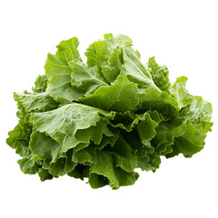 Escarole pile png