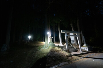 Historic old road &ldquo;Salt Road&rdquo; which is also a long distance hiking course and its surroundings