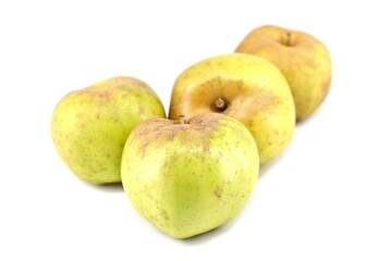 Green and yellow Reinette apples with russeting on white background.
