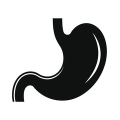 Fototapeta premium Vector illustration of a human stomach, Human vector art, Human organ