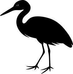heron silhouette isolated on white